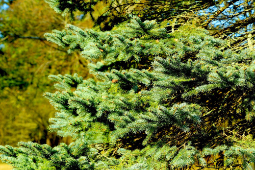 1752528 (a): :1920x1280